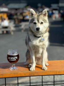 Betti the Beerdog